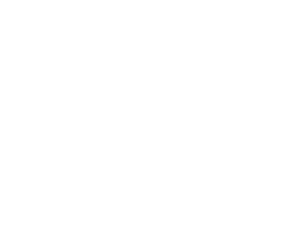 a16z Cultural Leadership Fund
